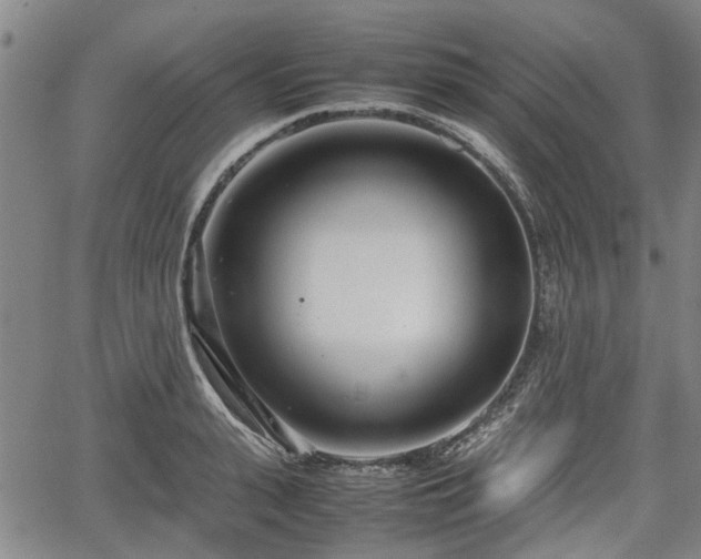 X0000064750943200602131223