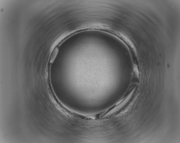 X0000064750944200602131223