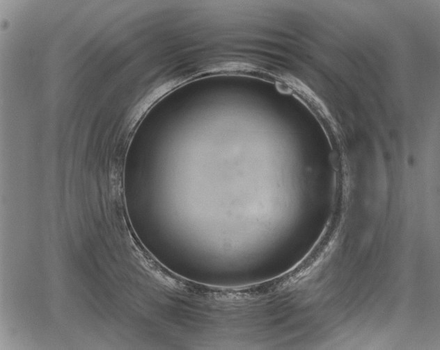 X0000064750945200602131223