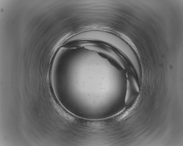 X0000064750946200602131223