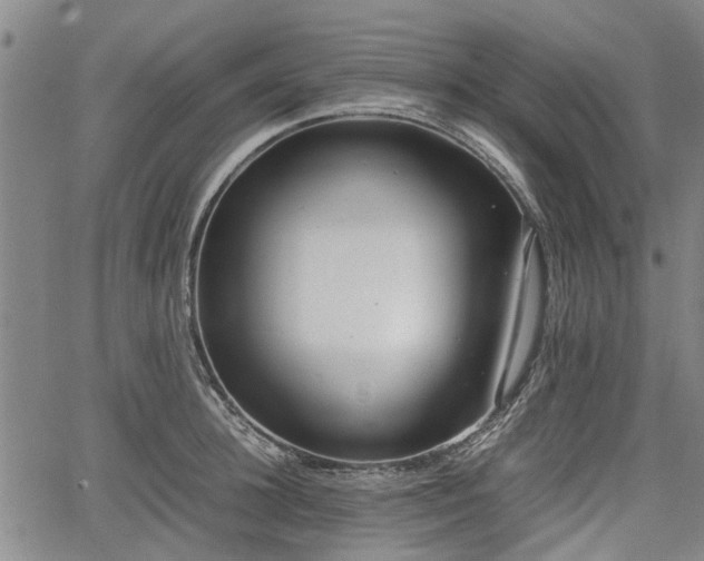 X0000064750948200602131223