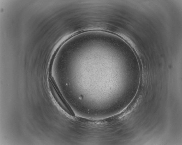 X0000064750949200602131223