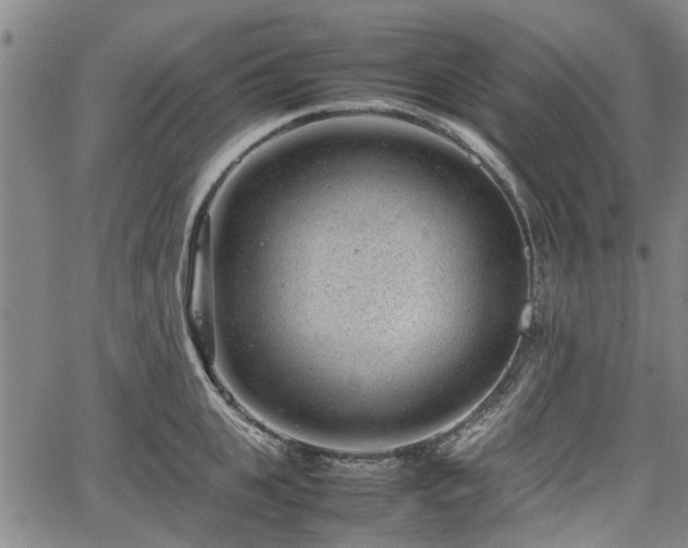 X0000064750951200602131223