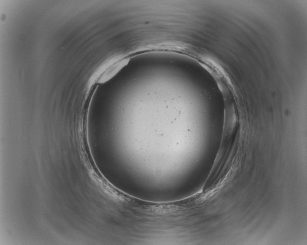 X0000064750952200602131223