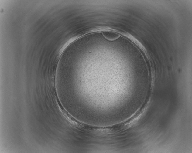 X0000064750953200602131223