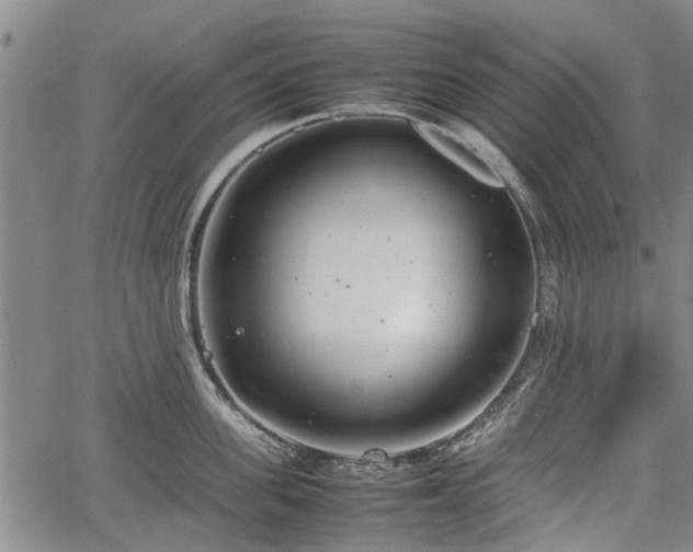 X0000064750955200602131223