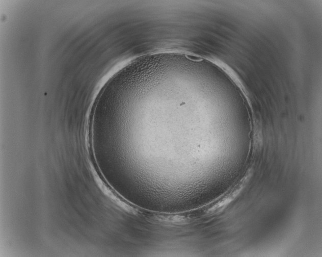 X0000064750957200602131223