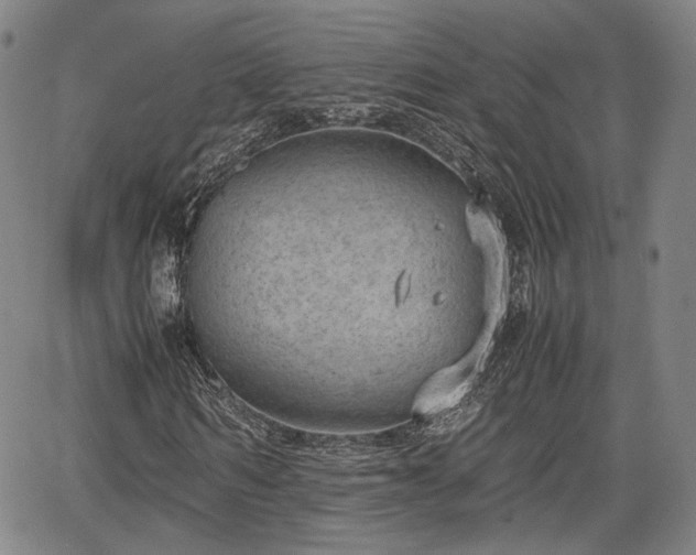 X0000064750962200602131222