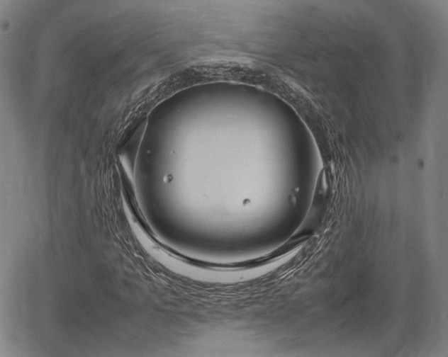 X0000064750965200602131222