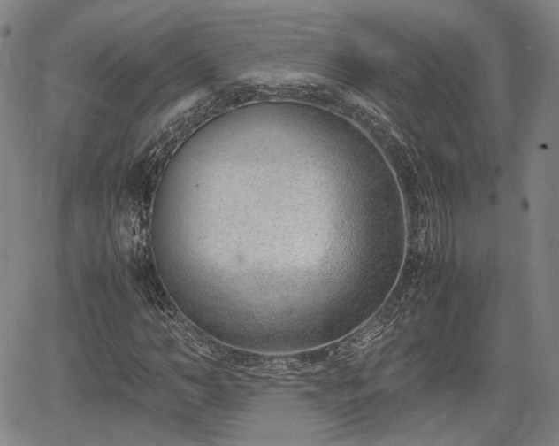 X0000064750966200602131222