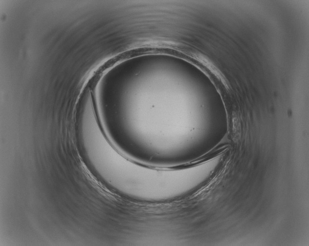 X0000064750972200602131222