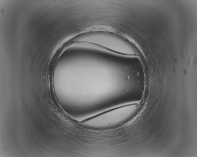 X0000064750973200602131222