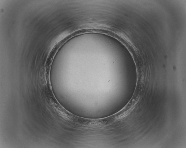 X0000064750974200602131222