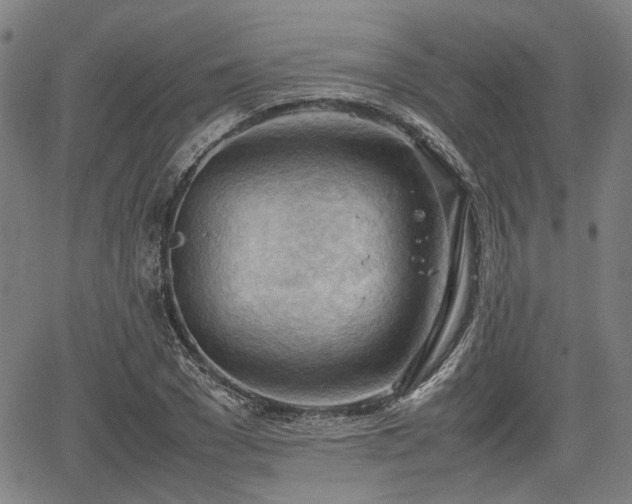 X0000064750977200602131222