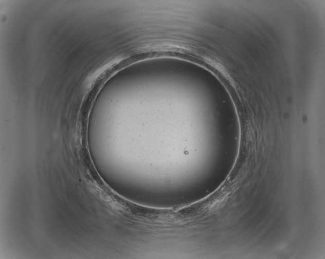 X0000064750979200602131222