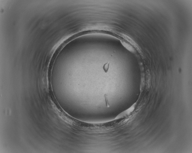 X0000064750980200602131222