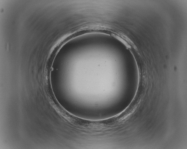 X0000064750981200602131222