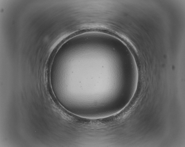 X0000064750983200602131222