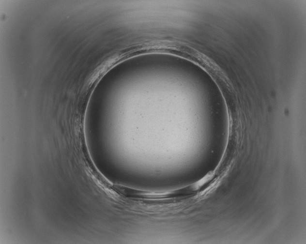 X0000064750985200602131222