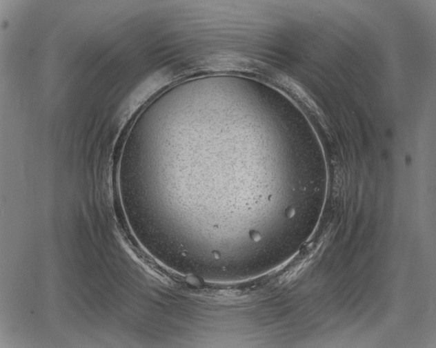 X0000064750986200602131222