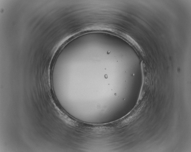 X0000064750988200602131222