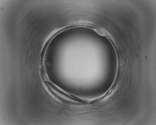 X0000064750989200602131222