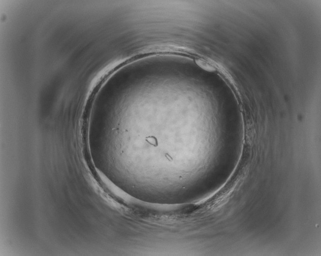 X0000064750995200602131222