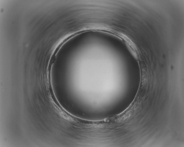 X0000064750996200602131222