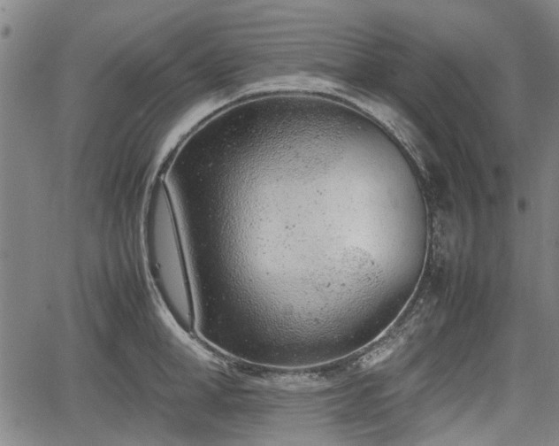 X0000064750998200602131222