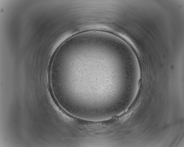 X0000064750999200602131222