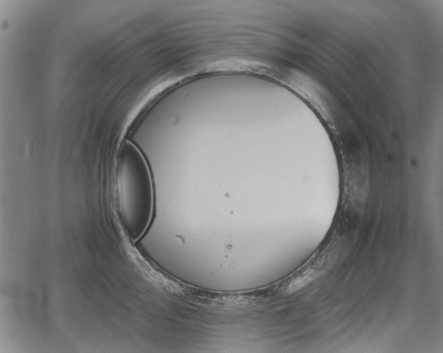 X0000064751000200602131222