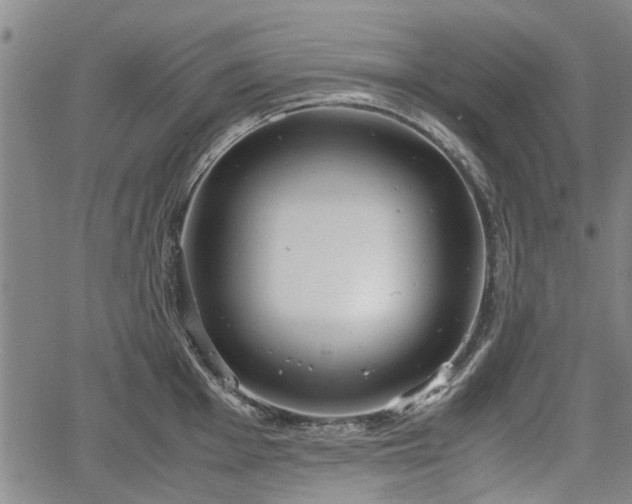 X0000064751001200602131222