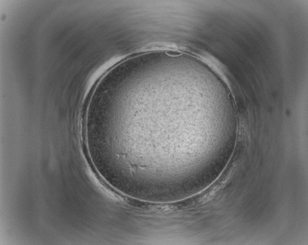 X0000064751003200602131222