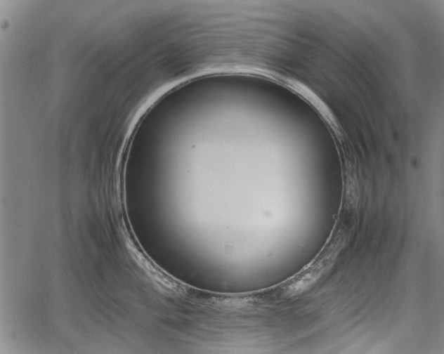 X0000064751004200602131222