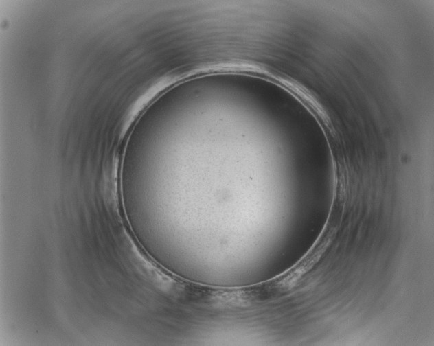 X0000064751006200602131222