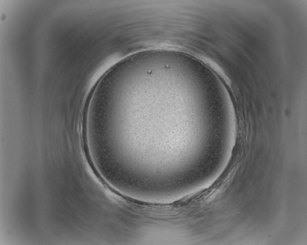 X0000064751007200602131222