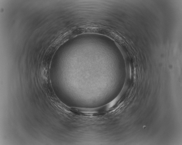 X0000064751010200602131221