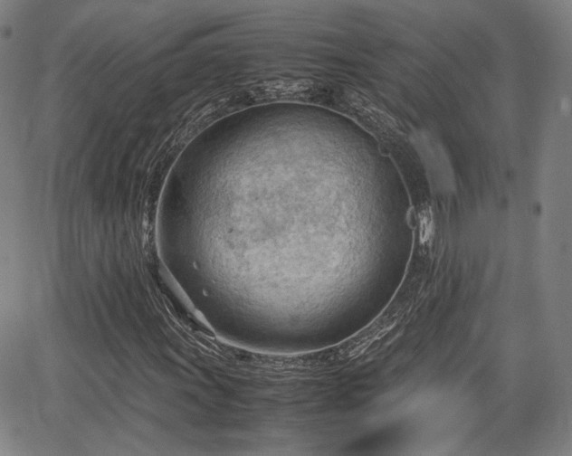 X0000064751011200602131221