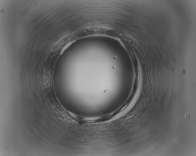 X0000064751014200602131221