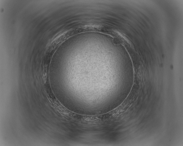 X0000064751015200602131221