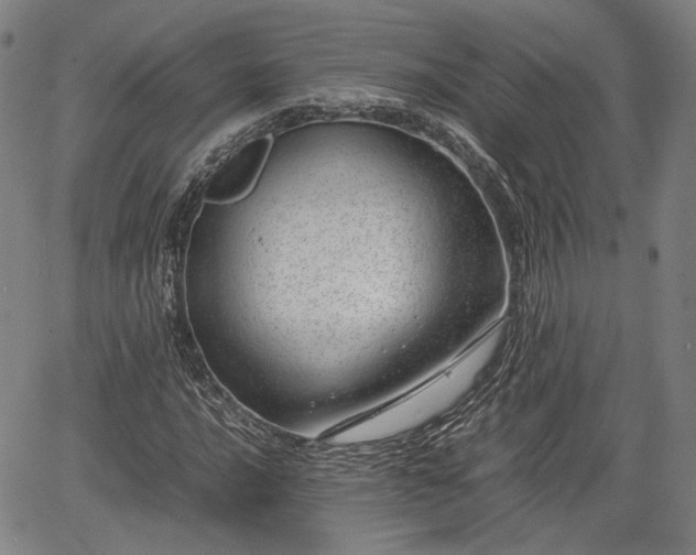 X0000064751016200602131221