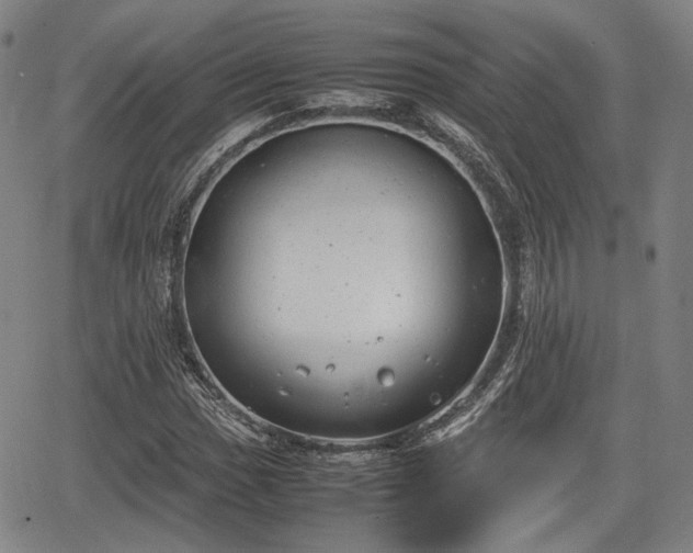 X0000064751017200602131221