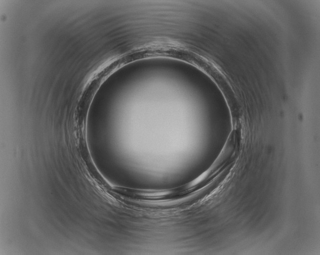 X0000064751018200602131221