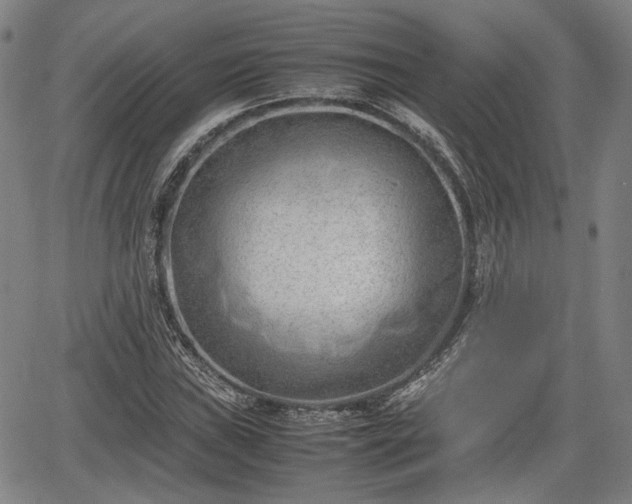 X0000064751019200602131221