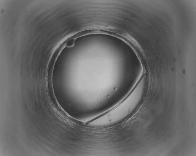 X0000064751020200602131221