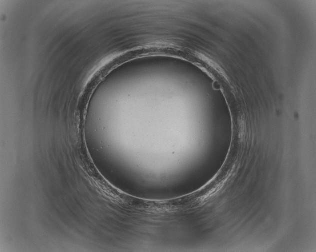 X0000064751021200602131221