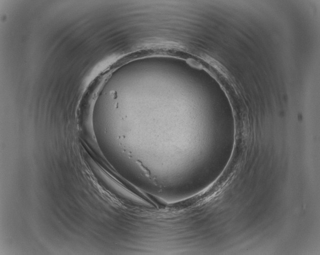 X0000064751022200602131221