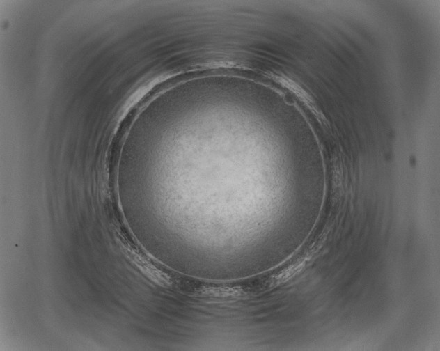 X0000064751023200602131221