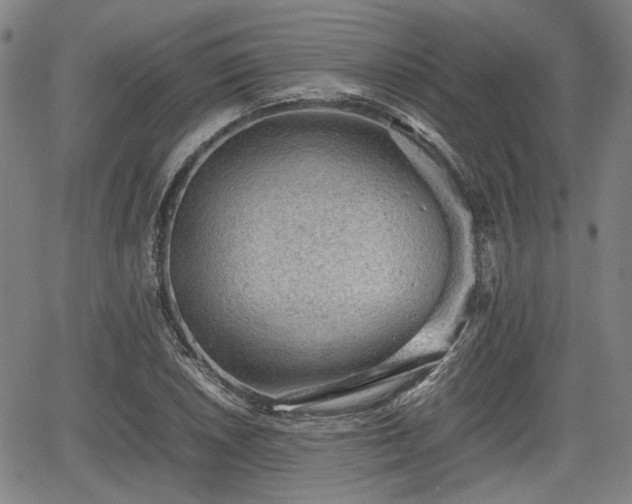 X0000064751026200602131221