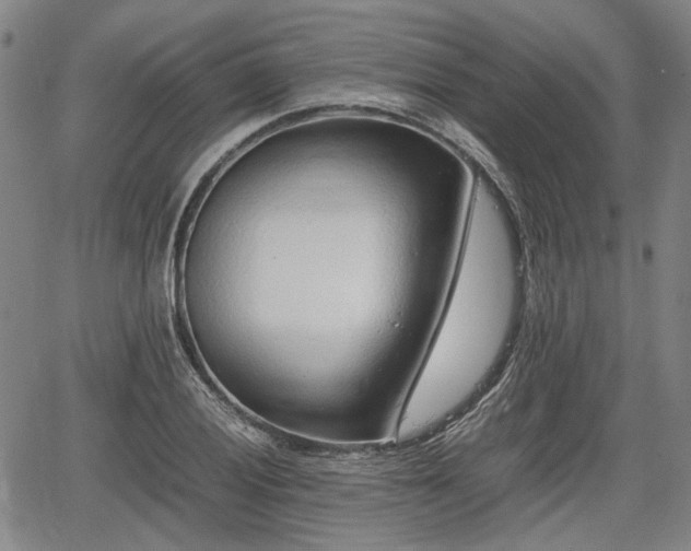 X0000064751028200602131221